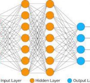 A Biological Mechanism Based Structure Self-Adaptive Algorithm for Feedforward Neural Network and Its Engineering Applications
