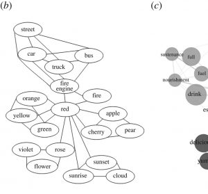 Contributions of modern network science to the cognitive sciences: revisiting research spirals of representation and process