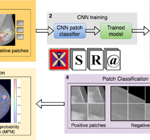 UNIVERSAL MULTI-MODAL DEEP NETWORK FOR CLASSIFICATION AND SEGMENTATION OF MEDICAL IMAGES