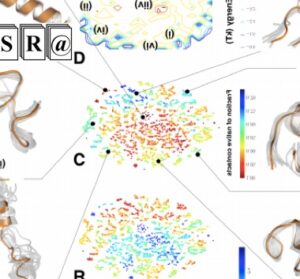 Deep clustering of protein folding simulations