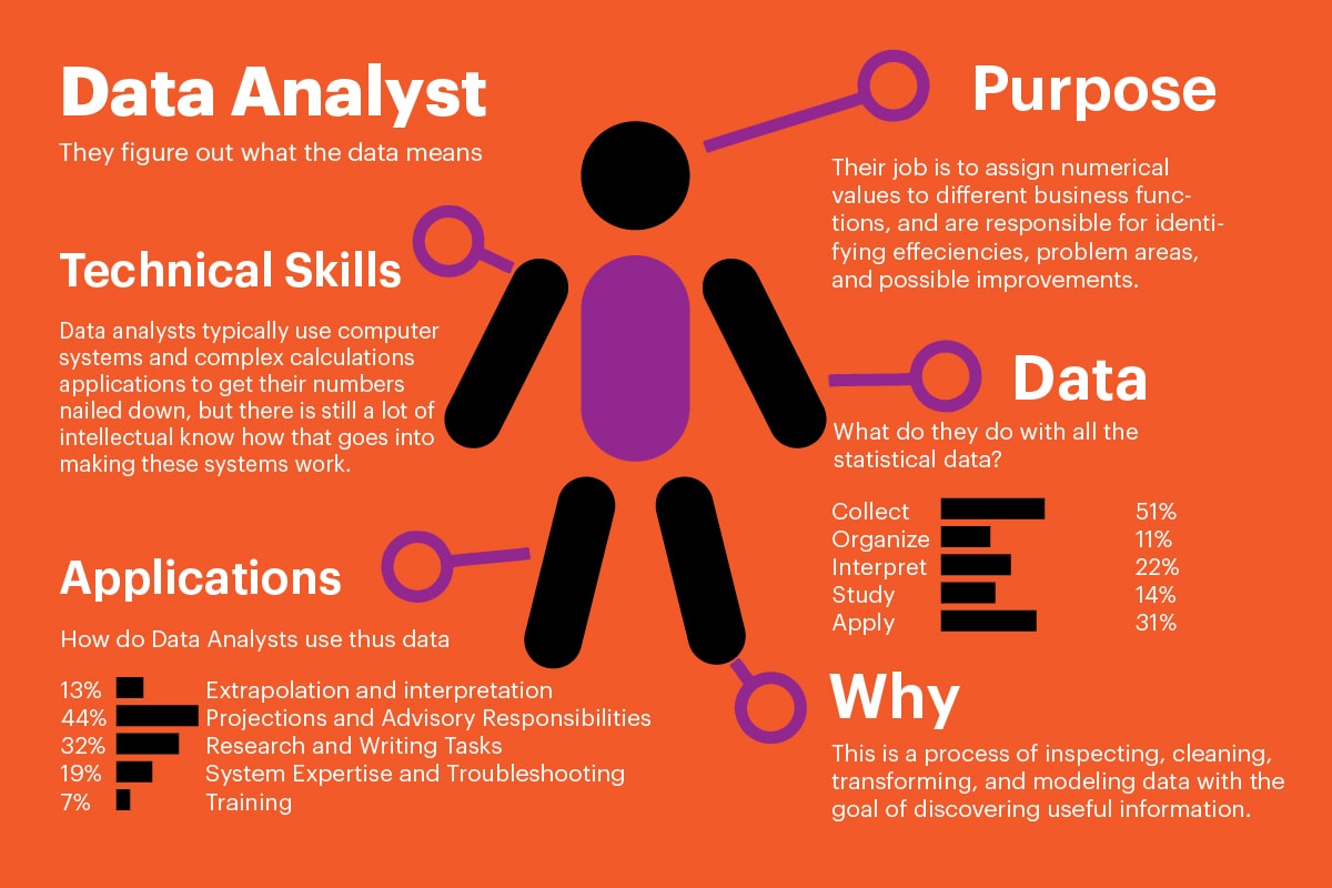 Who is data analyst?